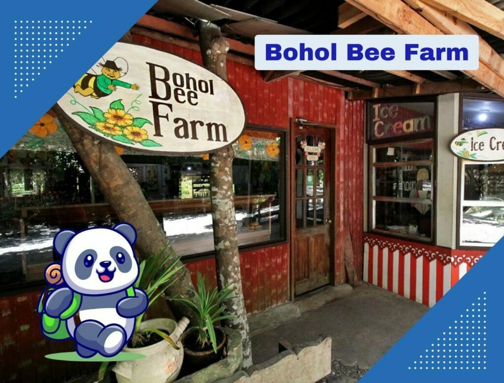 Bohol Bee Farm: Top Reasons Why You Need to Visit it.